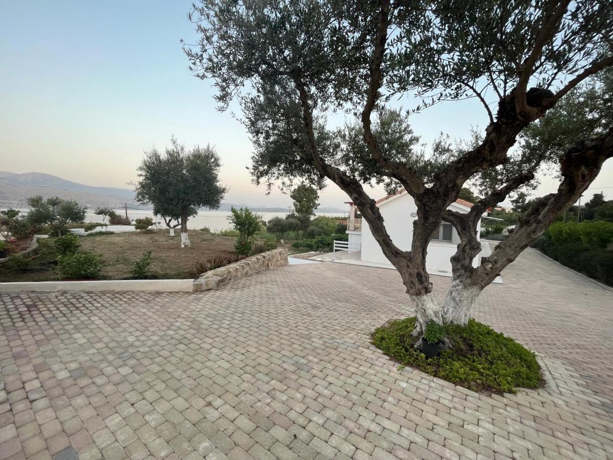 Apollonides Seafront Villa 2 Melete Lixouri Exterior foto