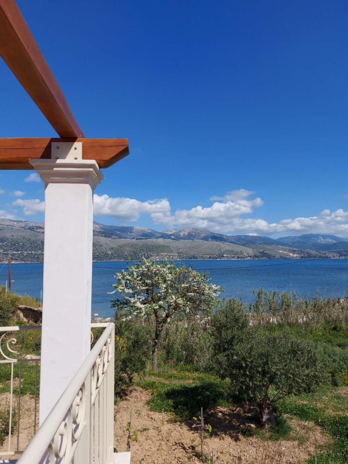 Apollonides Seafront Villa 2 Melete Lixouri Exterior foto